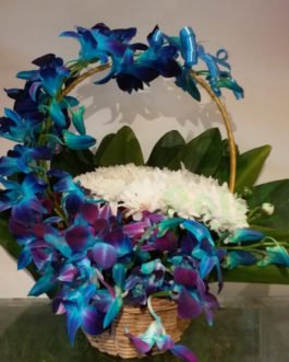 Exotic Arrangement of Blue Orchids