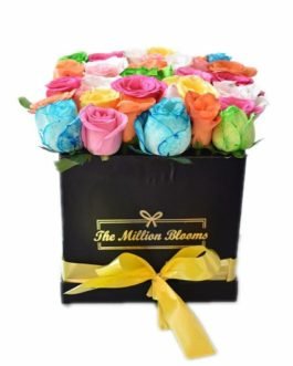 Rainbow Box – The Million Blooms