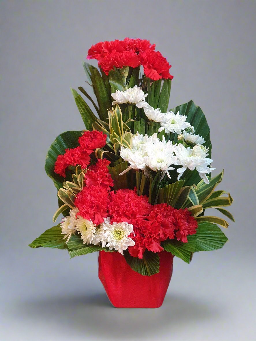 Brighten any space with a vibrant mix of red carnations, white daisies, and lush greenery. Perfect for gifts or decor. Order fresh blooms today!