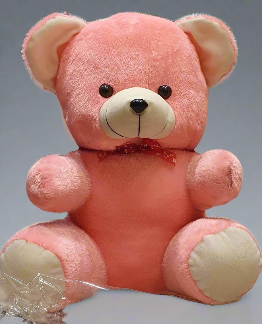 Find the perfect teddy bear for every occasion: pink, plush and ready to bring joy to your loved ones