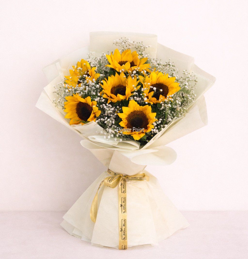 Sunflower in Jalandhar